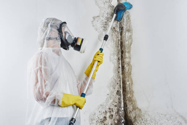 Water Damage Restoration in Weatherly, PA