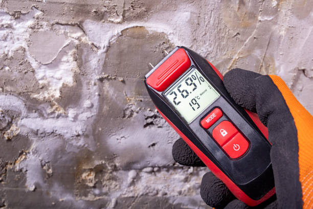 Best Toxic Mold Removal  in Weatherly, PA