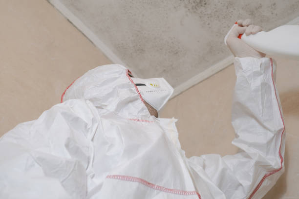 Best Office Mold Removal Services  in Weatherly, PA